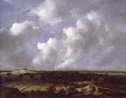 Jacob van Ruisdael View of the Dunes near Bl oemendaal with Bleaching Fields china oil painting artist